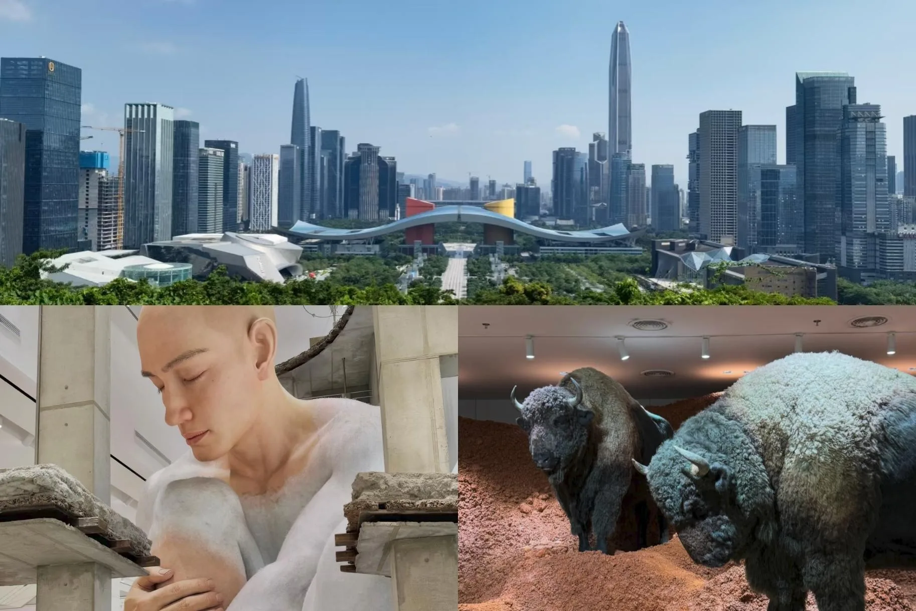 Shenzhen Lianhuashan Park and MixC World guided city walk