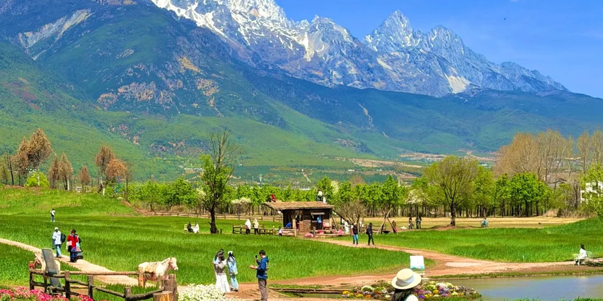 A dirt path lined with white daisies below the snow peaks of Jade Dragon Snow Mountain, Lijiang, Yunnan, in spring