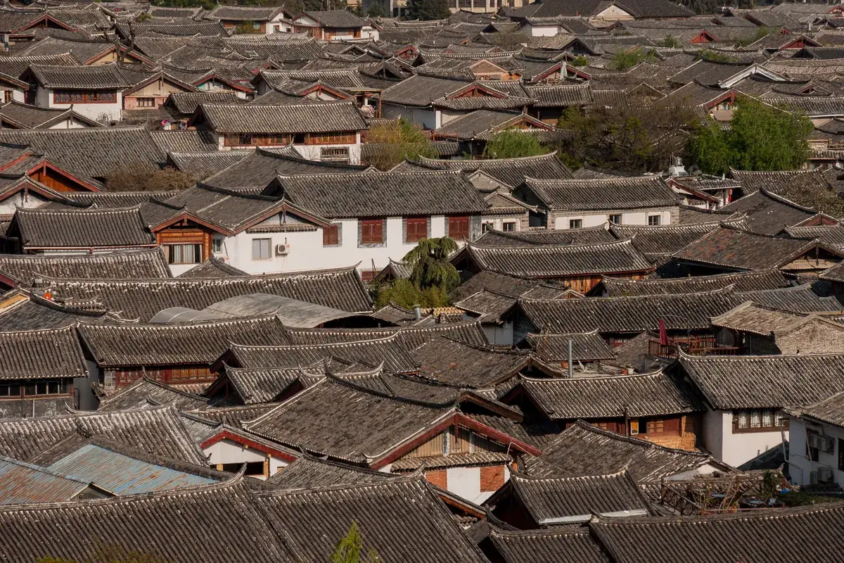 Dense grey-tiled Naxi rooftops of Lijiang Old Town seen from above in soft light, with a few green trees between the courtyards