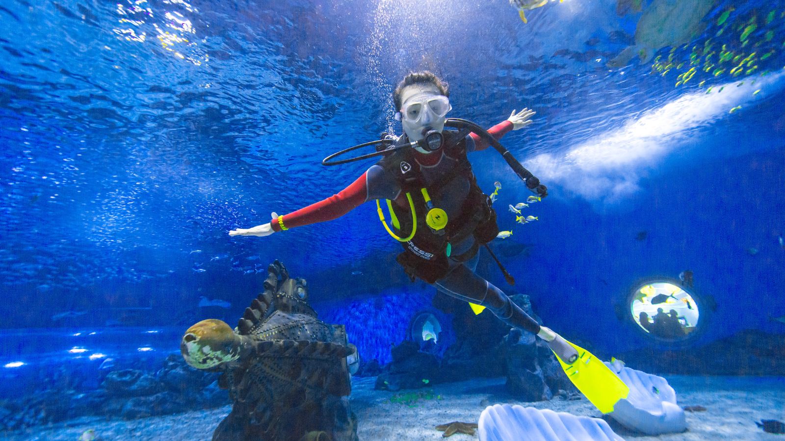 Tianjin Tianjin Polar Ocean Park