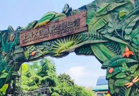 Shanghai Nature Wild Insect Museum