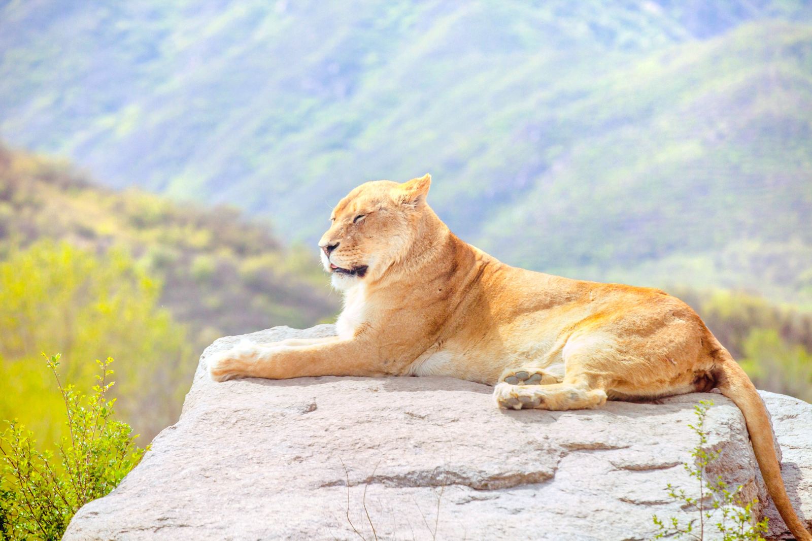 China Beijing Badaling Wildlife Park