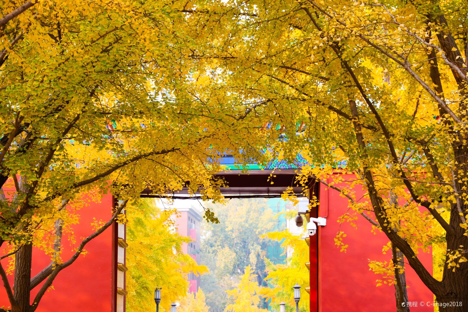 China Beijing Ditan Park