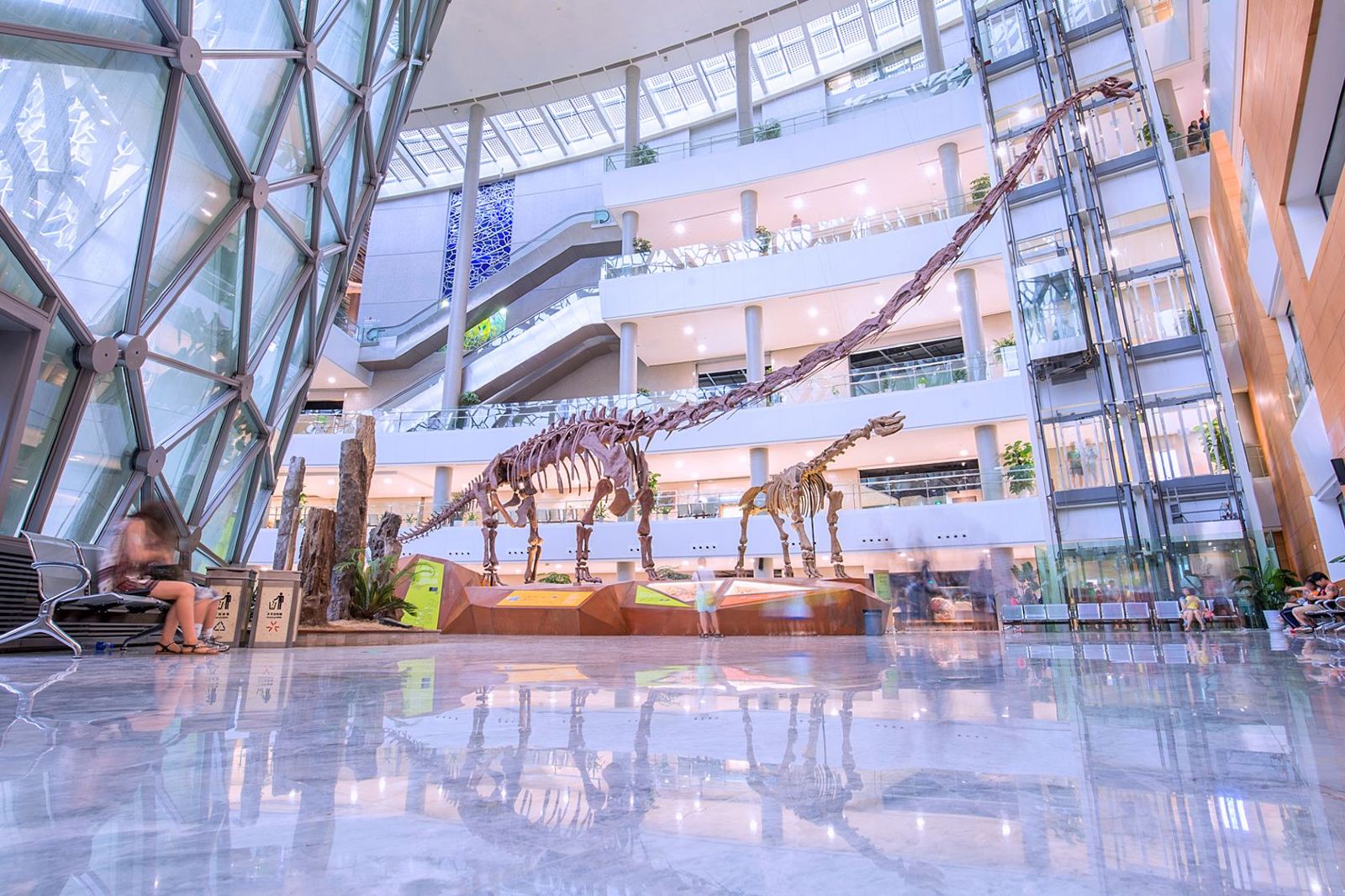 Shanghai Nature Museum