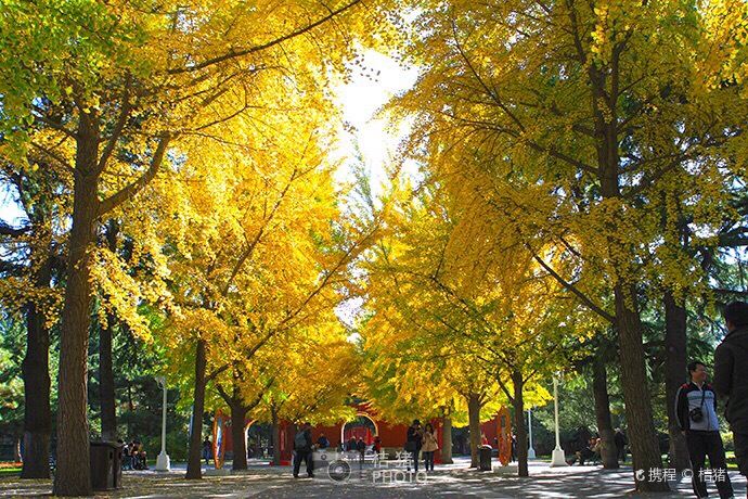 China Beijing Zhongshan Park