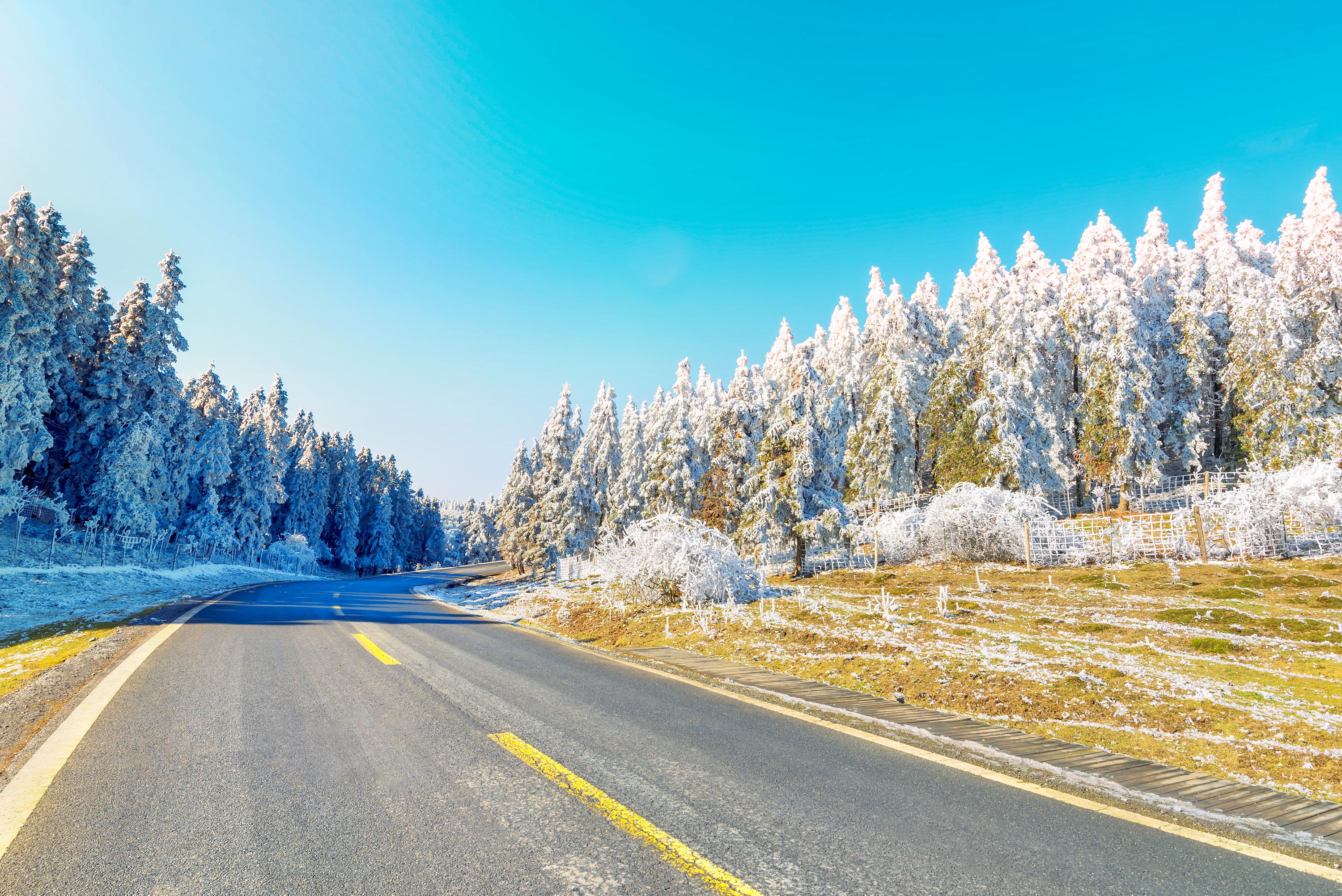 Chongqing Fairy Mountain National Forest Park