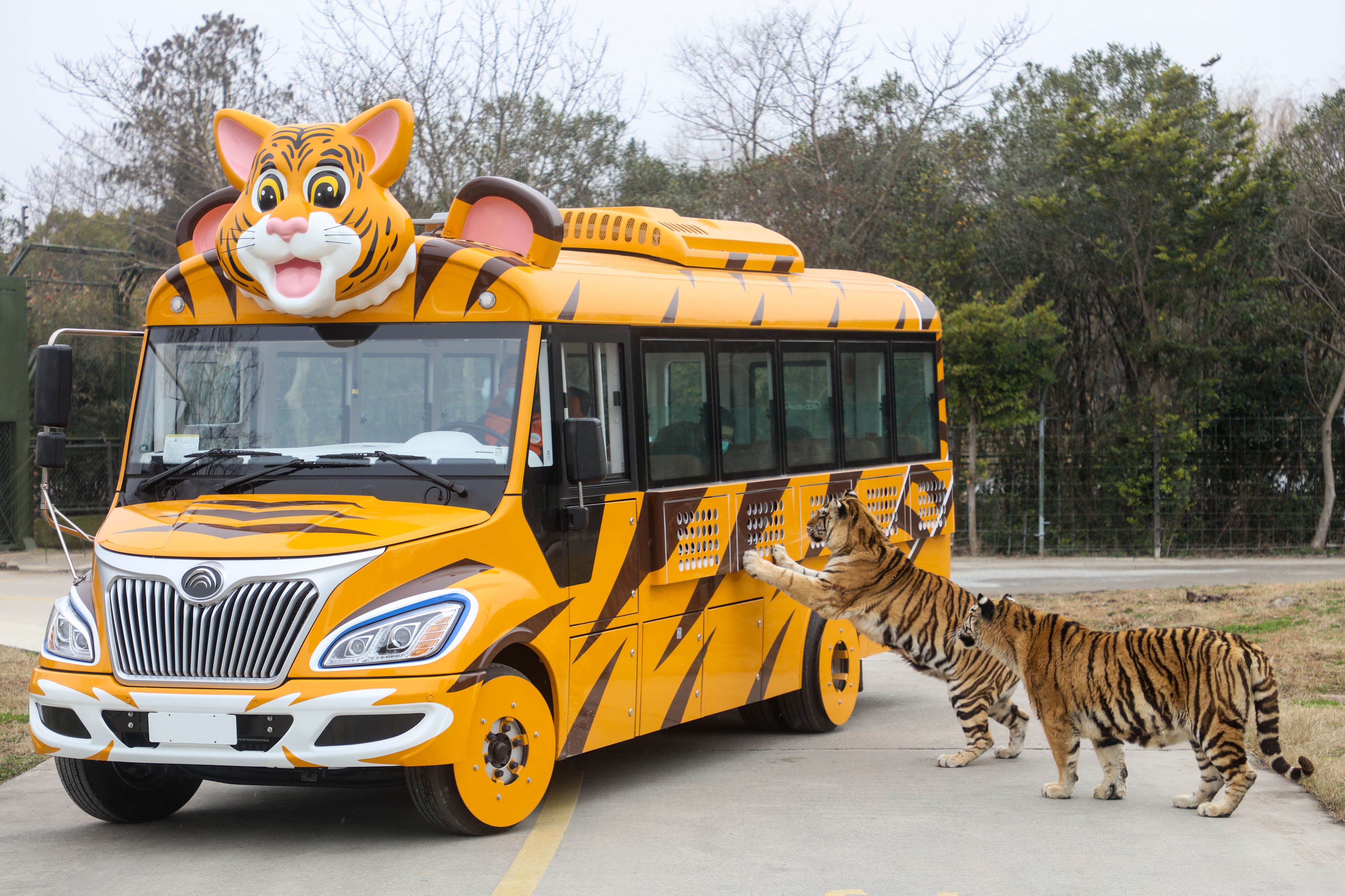 Shanghai Safari Park