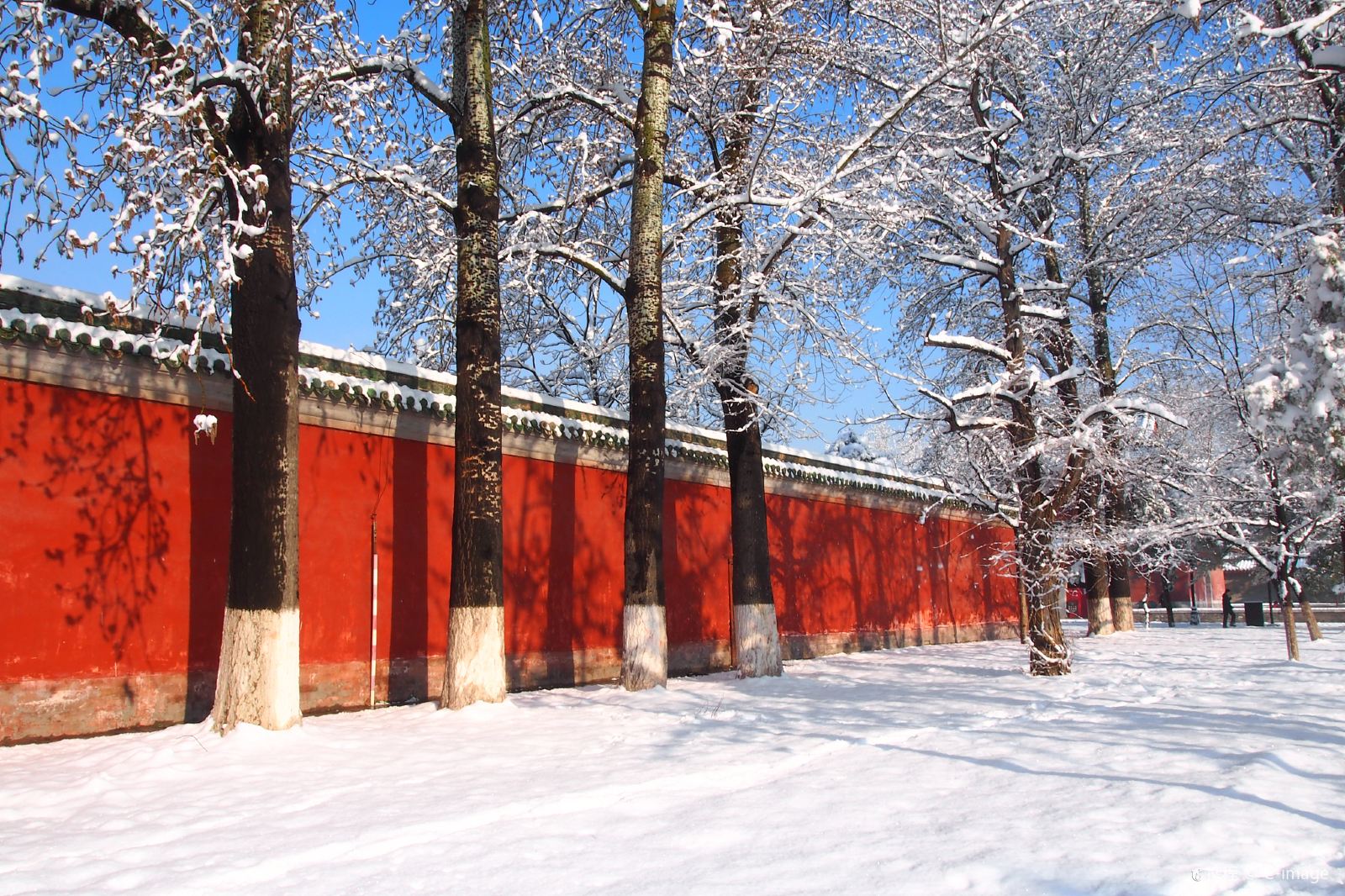 China Beijing Ditan Park