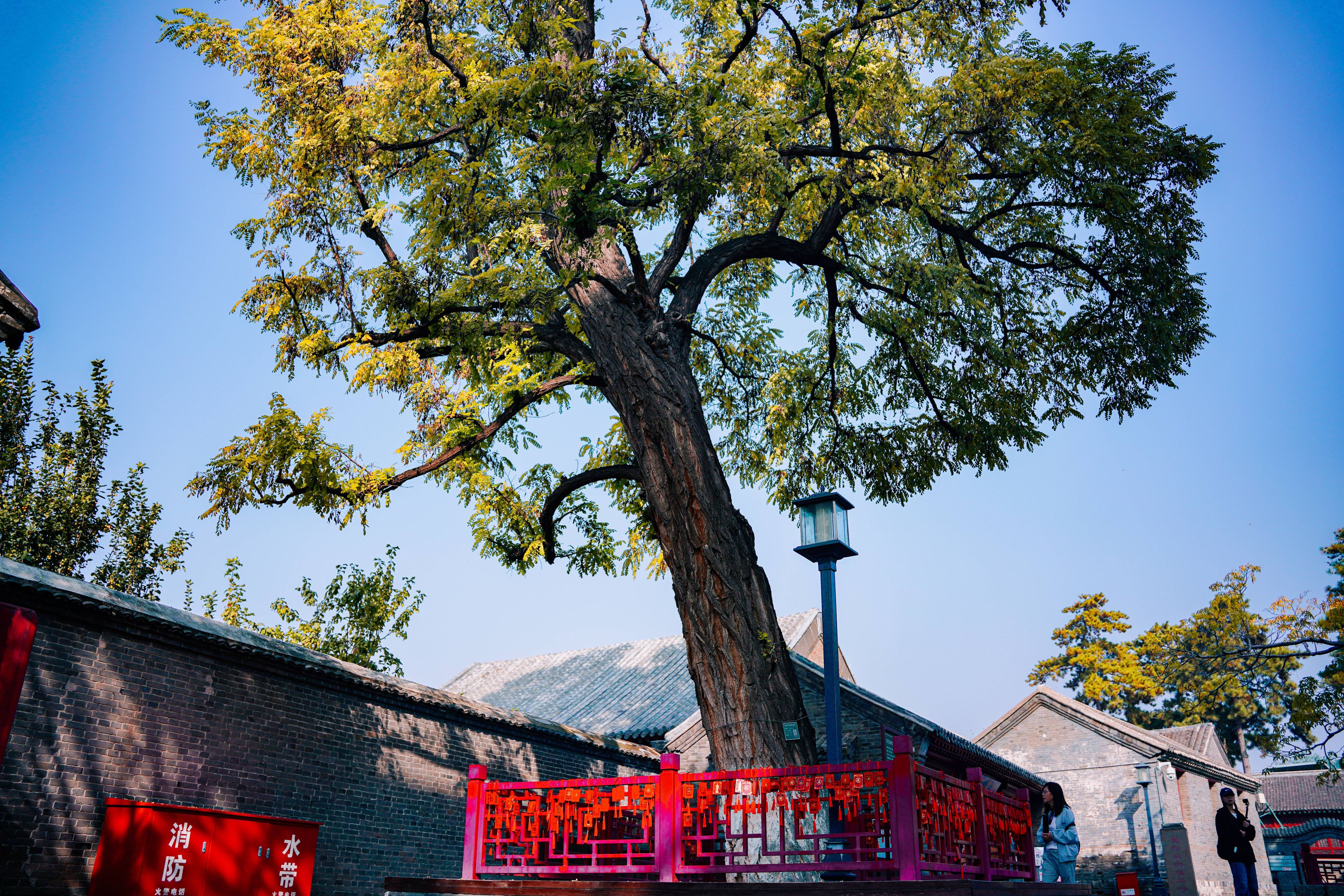 Tianjin Dule Temple