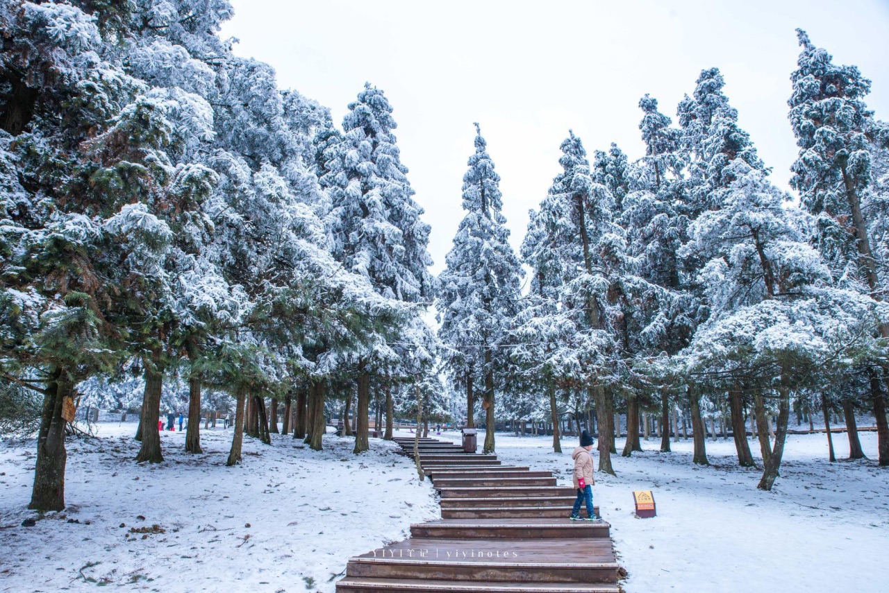 Chongqing Fairy Mountain National Forest Park