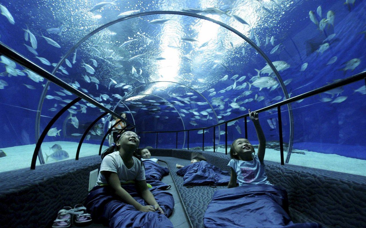 Shanghai Ocean Aquarium