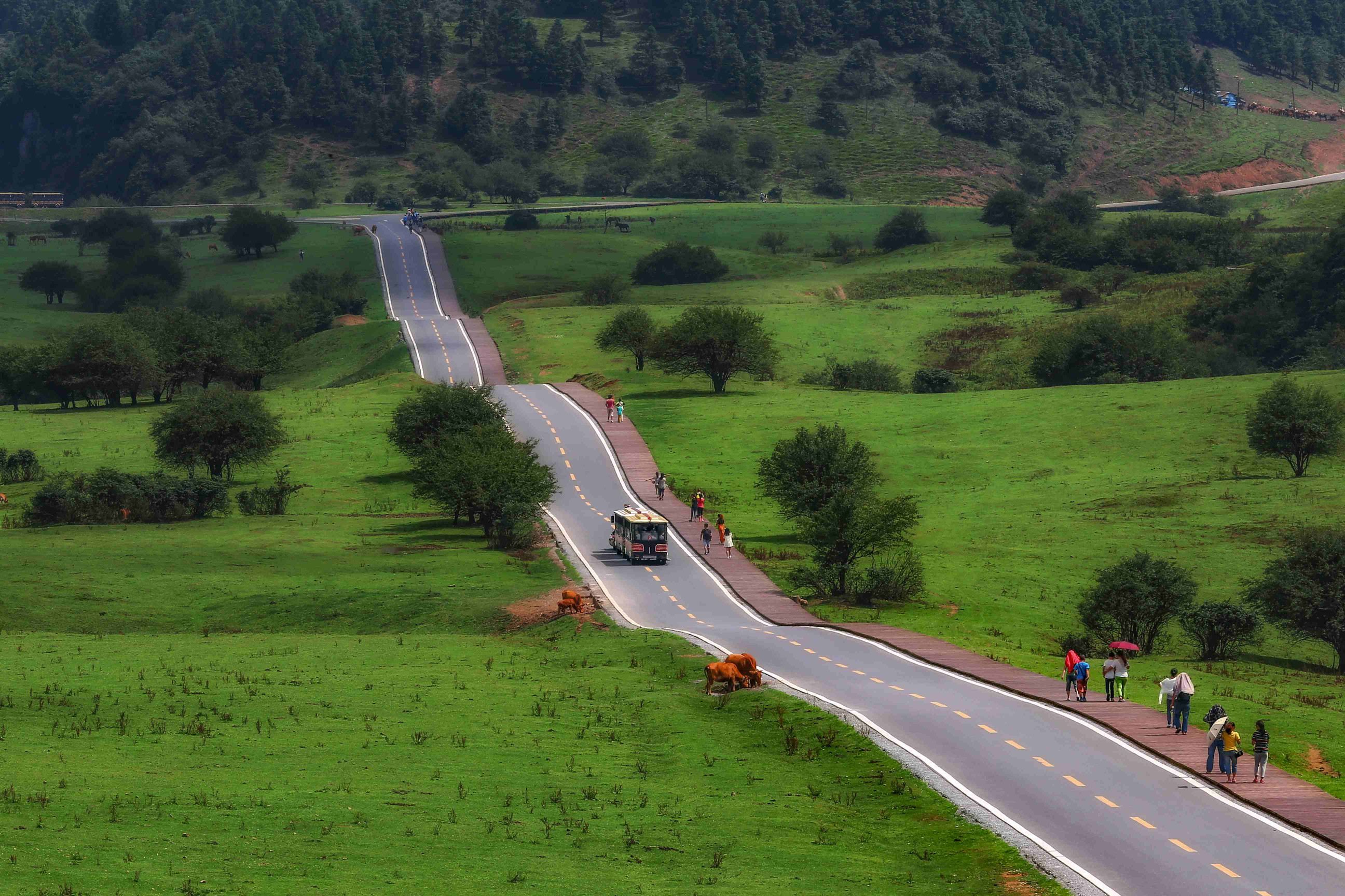 Chongqing Fairy Mountain National Forest Park