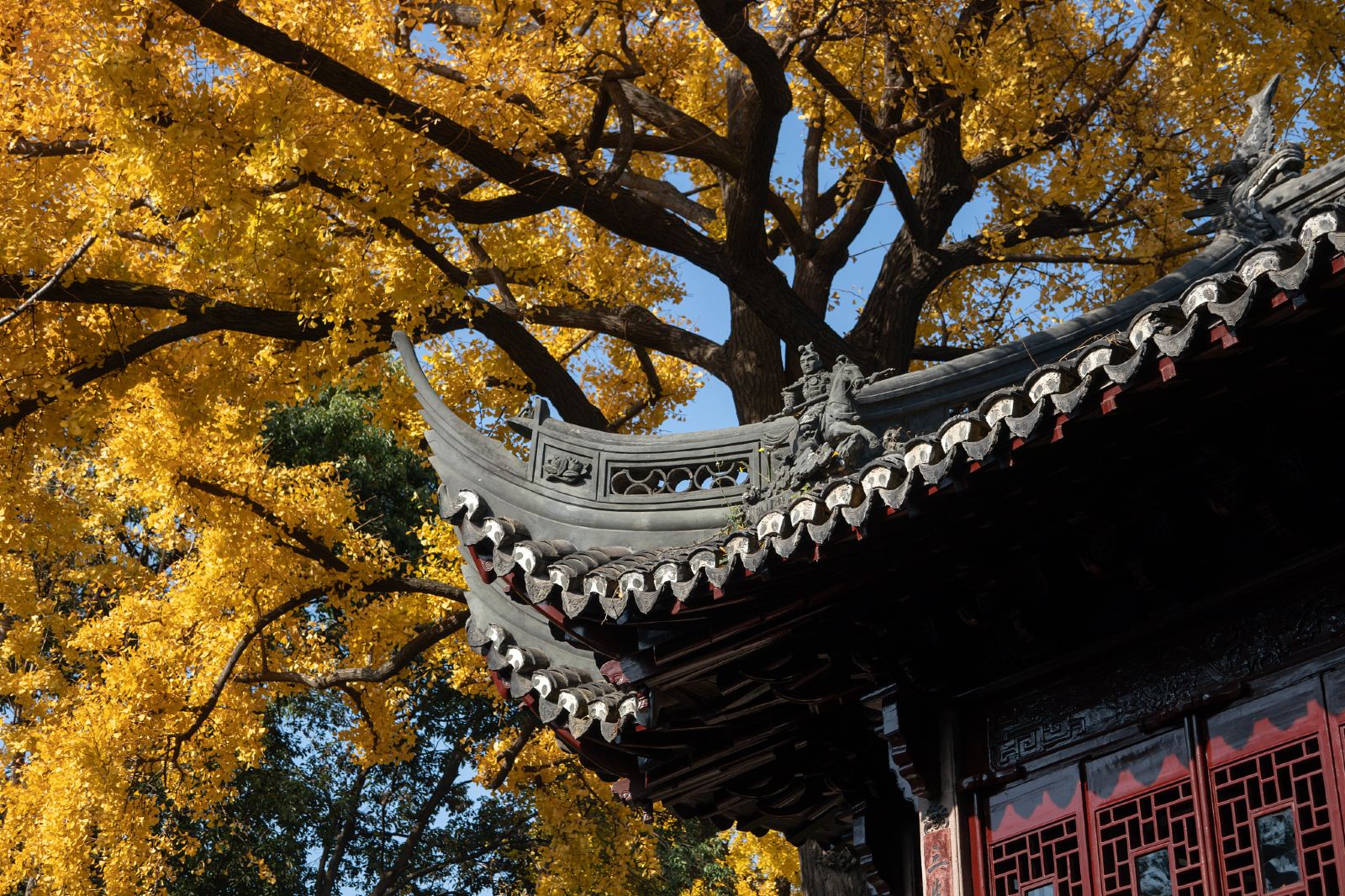 Shanghai Yuyuan Garden