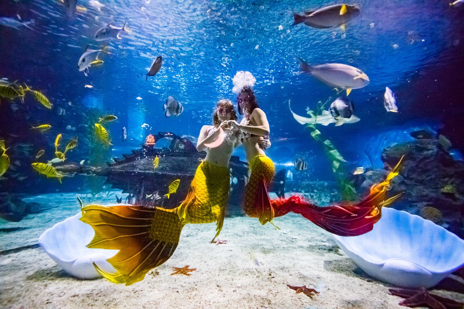 Tianjin Tianjin Polar Ocean Park