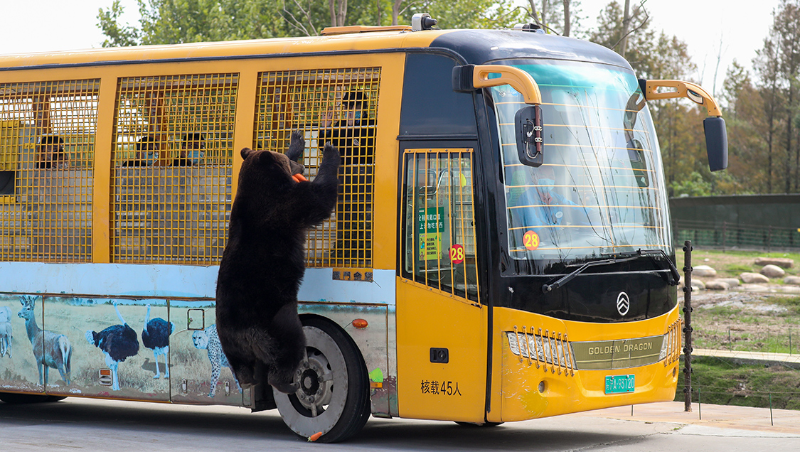 Shanghai Safari Park