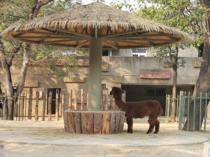 China Beijing Zoo