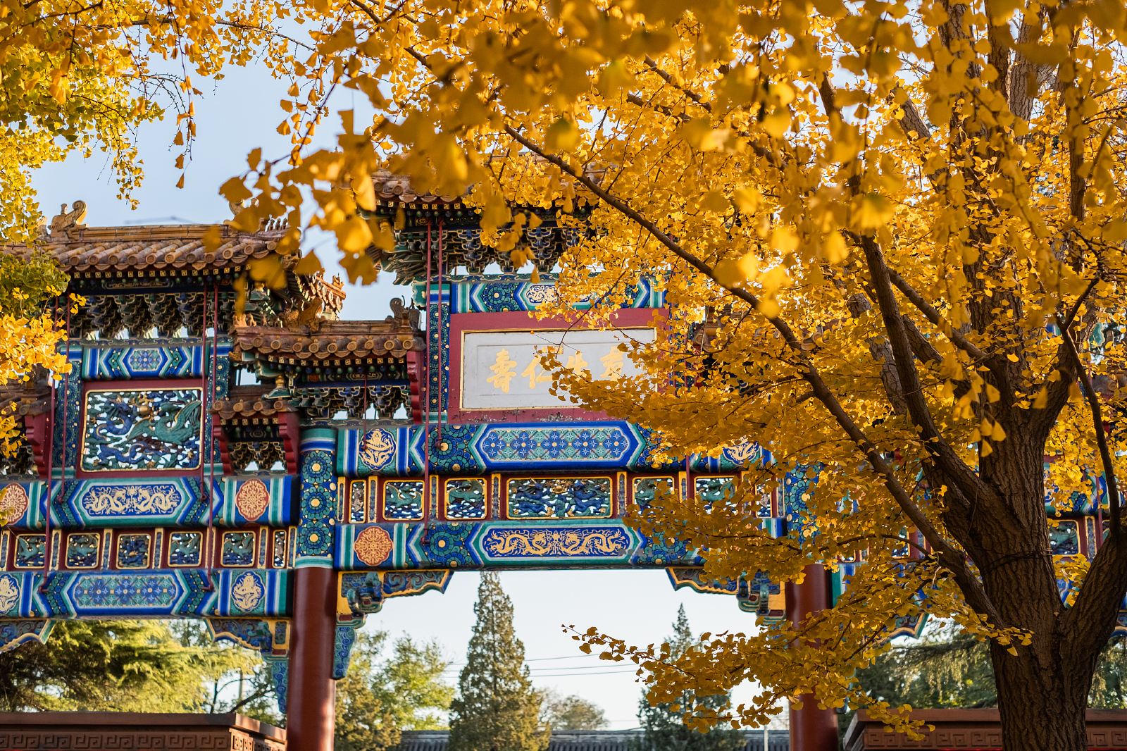 China Beijing Lama Temple