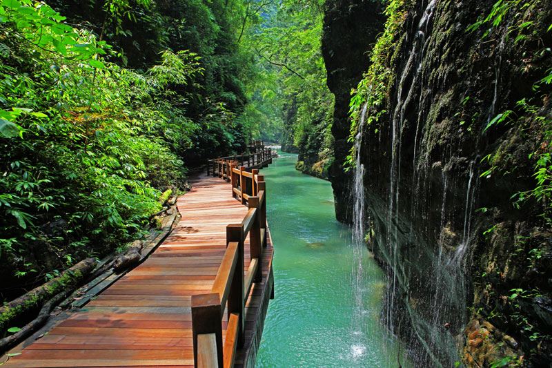 Chongqing Heishan Valley Scenic Area