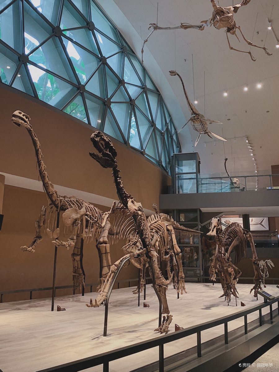 Shanghai Nature Museum