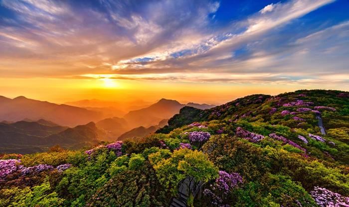 Chongqing Jinfo Mountain