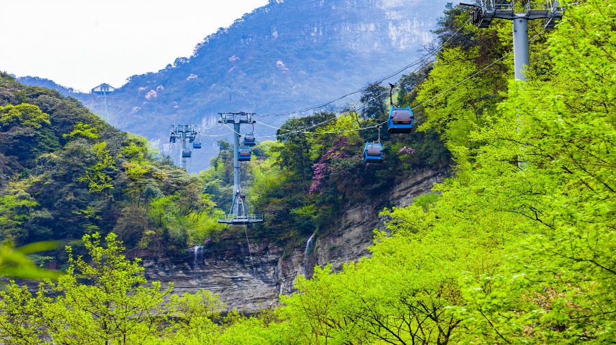 Chongqing Jinfo Mountain