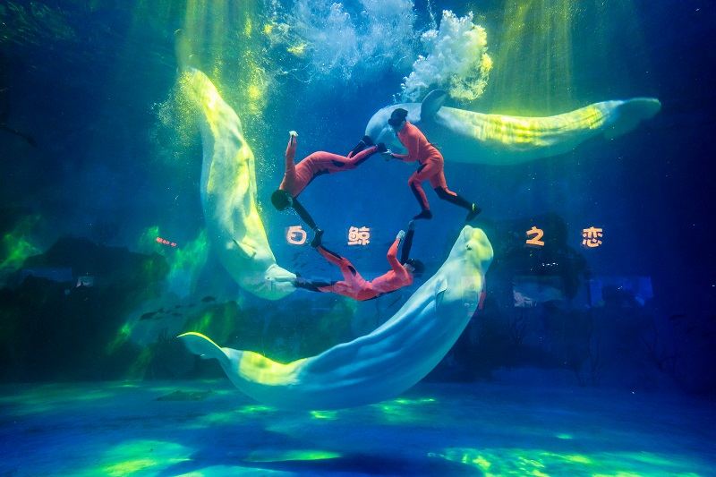 Tianjin Tianjin Polar Ocean Park