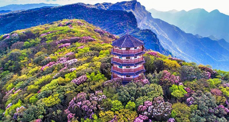 Chongqing Jinfo Mountain