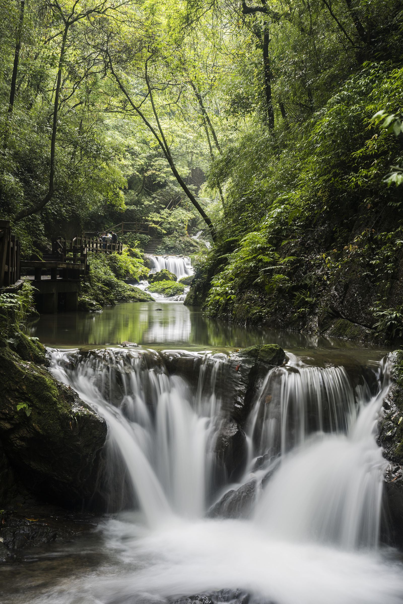 Chongqing Heishan Valley Scenic Area