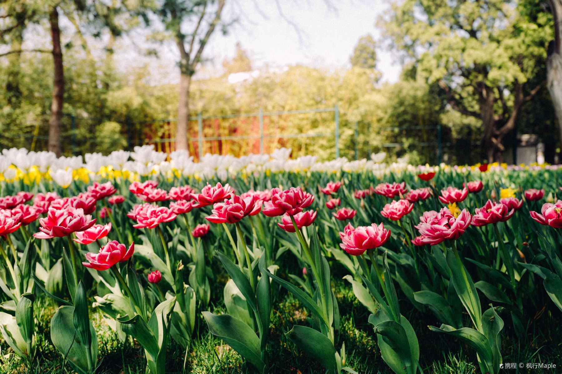 China Beijing Zhongshan Park