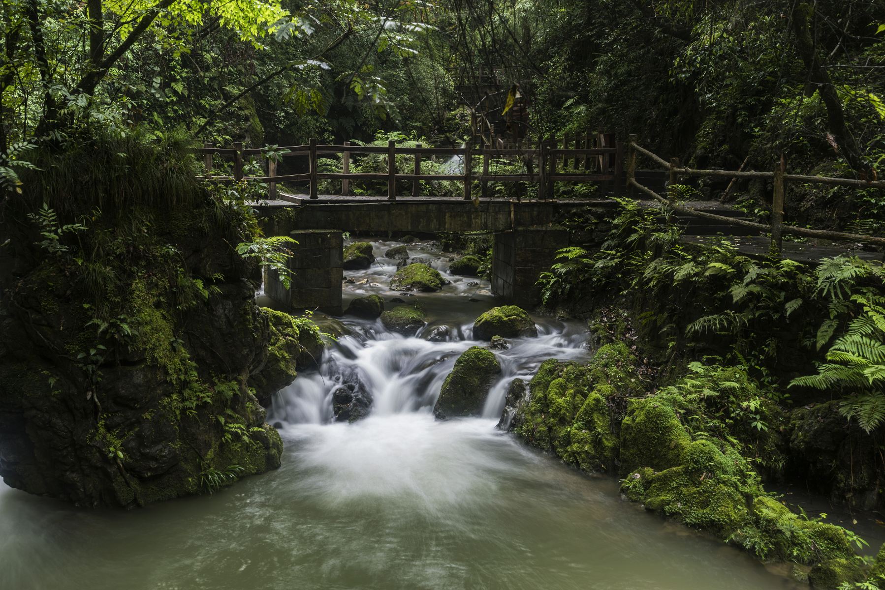 Chongqing Heishan Valley Scenic Area
